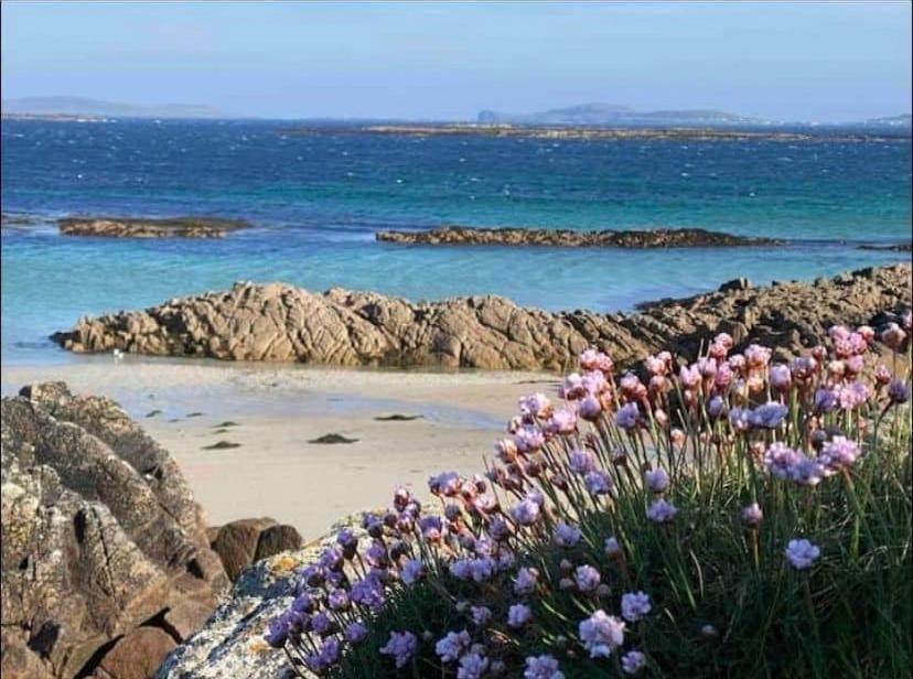 Drop Anchor House, Spacious 3 Bedroom Apartment, Fabulous Sea Views Cleggan Bagian luar foto